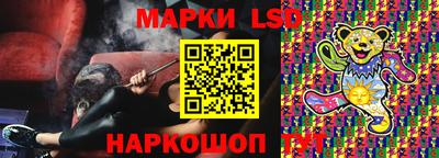 шишки Владимир