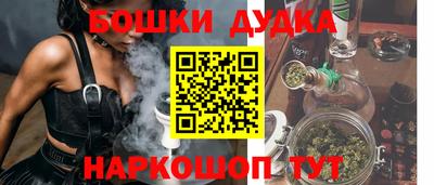 шишки Владимир
