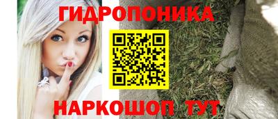 шишки Владимир