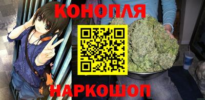 шишки Владимир
