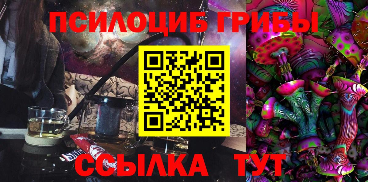 Псилоцибиновые грибы мицелий  Псилоцибиновые грибы Psilocybine cubensis  хочу наркоту  Вход с VPN  Сердобск 