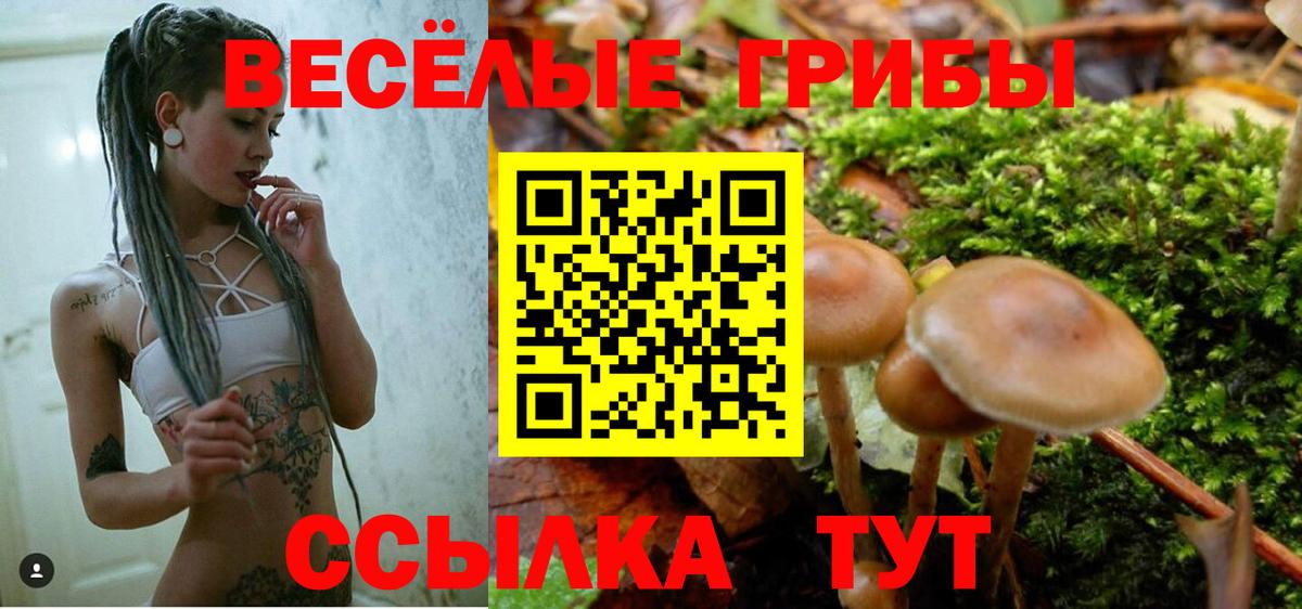 Псилоцибиновые грибы Psilocybine cubensis Сердобск